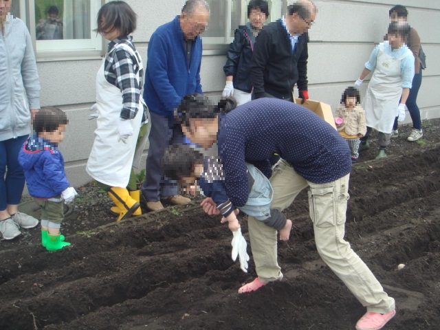 種イモ植え