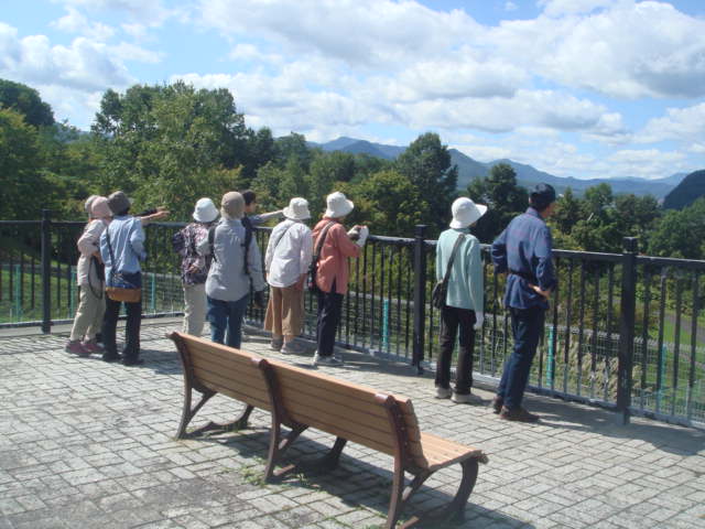 ウォーキング会