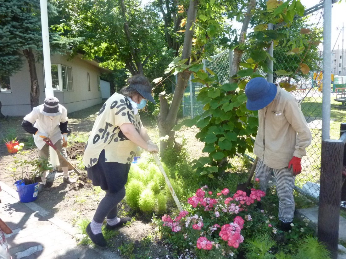 花がきれいですね