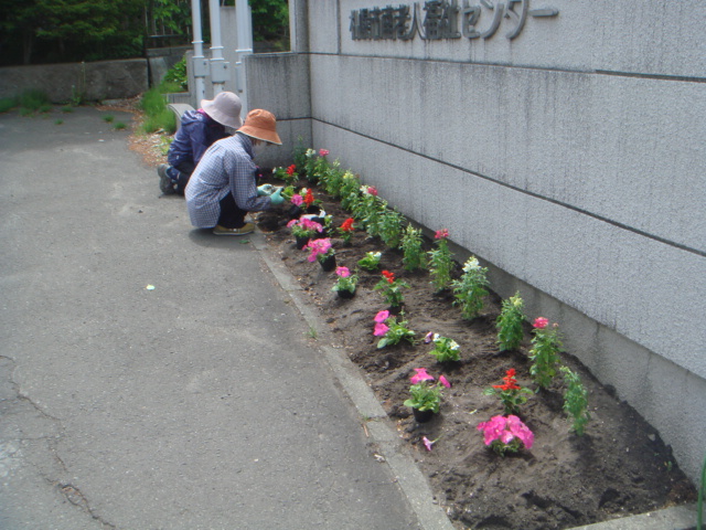 花壇